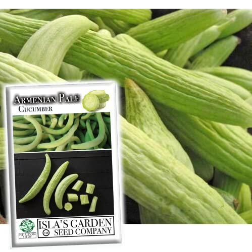 Armenian Pale Green Cucumber Seeds for Planting, 100+ Heirloom Seeds Per Packet, (Isla's Garden Seeds), Non GMO Seeds, Botanical Name: Cucumis sativus, Great Home Garden Gift