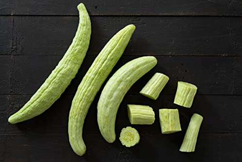 Armenian Pale Green Cucumber Seeds for Planting, 100+ Heirloom Seeds Per Packet, (Isla's Garden Seeds), Non GMO Seeds, Botanical Name: Cucumis sativus, Great Home Garden Gift