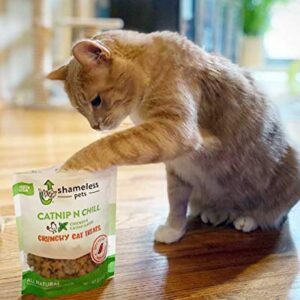 SHAMELESS PETS Catnip Treats - Crunchy Cat Calming Treats with Digestive Support, Sustainable Upcycled Natural Ingredients & Real Chicken, Low Calorie Healthy Feline Food - Catnip N Chill, 3-Pk