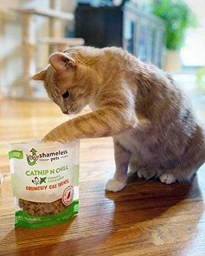 SHAMELESS PETS Catnip Treats - Crunchy Cat Calming Treats with Digestive Support, Sustainable Upcycled Natural Ingredients & Real Chicken, Low Calorie Healthy Feline Food - Catnip N Chill, 3-Pk