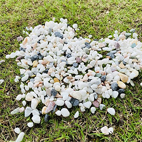 ROOFOO Decorative River Pebbles Mini Fish Tank Gravels Terrarium Rocks for Aquarium,Vase Fillers,Top Dressing,Bonsai,Air Plants Succulents Drainage,Soil Cover,1.6 LB,Mixed Colors