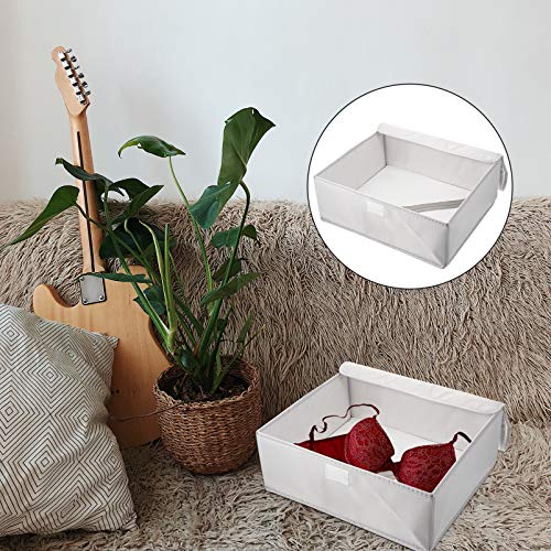 Cabilock Socks Underwear Cloth Drawer Organizer Cabinet Closet Organizer Storage Box with Lid for Clothes Socks Lingerie Underwear Ties