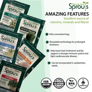 Nature Jims Sprouts 3 Bean Seed Mix - Certified Organic Green Pea, Lentil, Adzuki Bean Seeds for Planting - Non-GMO Vegetable Seeds - Resealable Bag for Freshness - Fast Sprouting Bean Seeds - 16 Oz