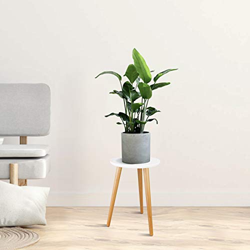 Uneedem Indoor Plant Stand Wood Mid Century Plant Stand for Indoor Plants, Modern Plant Table, Tall Plant Holder for Flower Pots, Small Round Side Table, End Table(A2 White, High: 16.5")