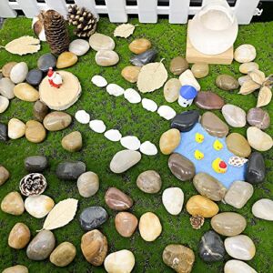 FANTIAN 5lb Decorative Pebbles for Indoor Plants - 1.2-2 Inch Natural Mixed Color River Rocks for Plants, Fish Tank Rocks, Garden Rocks, Vase Fillers, Outdoor Decorative Stones and Landscaping Rocks