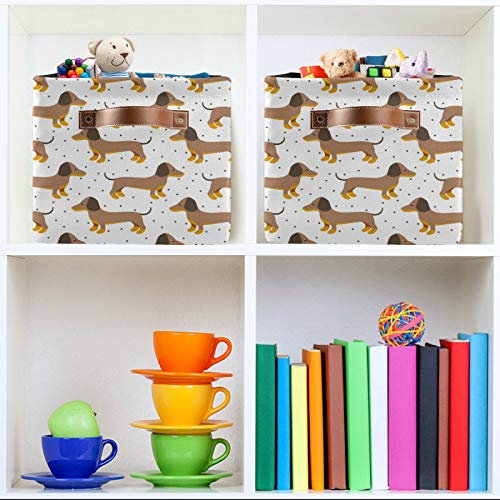 Mazeann Dachshunds Dog with Dots Storage Basket Bin Collapsible Foldable for Clothes Toys Storage Cabinets Waterproof Storage Box 15 x 11 x 9.5 inches, White, 1PC