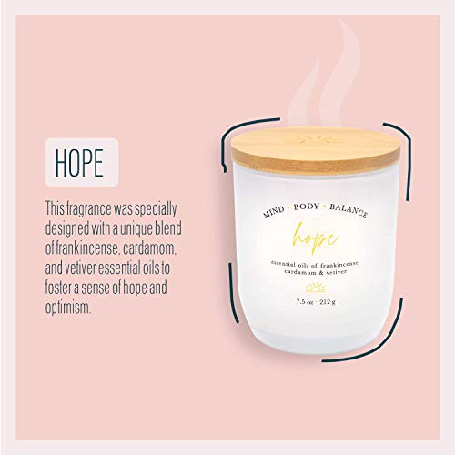 Aromatherapy Candle by Studio Oh! - Hope - 7.5-Ounce Coconut-Soy Blend Wax Scented Jar Candle for Home & Office - Burns up to 40 Hours