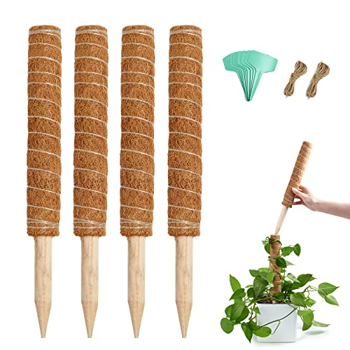 joyhalo Moss Pole- 15.7 Inch Moss Stick for Potted Plants, 4 Pcs Plant Support for Climbing Plants Monstera, Coir Totem Pole