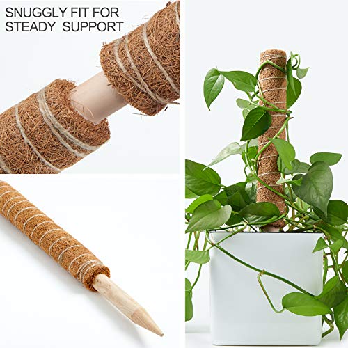 joyhalo Moss Pole- 15.7 Inch Moss Stick for Potted Plants, 4 Pcs Plant Support for Climbing Plants Monstera, Coir Totem Pole