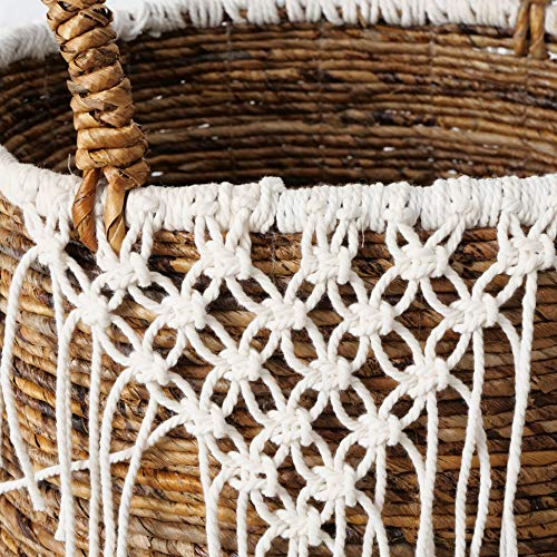 Boho Romantic Lace Baskets, Set of 3, Knotted Fringe Cotton Macrame Details, Relaxed Coastal Style, Woven Chunky Banana Leaf, Thick Handles, 21.75, 19.75, and 1