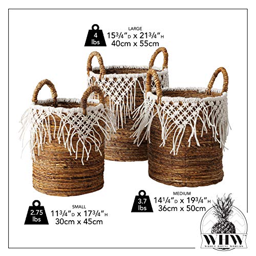 Boho Romantic Lace Baskets, Set of 3, Knotted Fringe Cotton Macrame Details, Relaxed Coastal Style, Woven Chunky Banana Leaf, Thick Handles, 21.75, 19.75, and 1