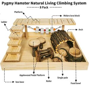 Hamiledyi Dwarf Hamster Activity Playground Natural Wood Gerbil Climbing Platform Mice Living Gym System Set Syrian Exercise Cage Accessories with Lava Stone String Chewing Toy Ladder Bridge Ramp