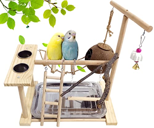 Hamiledyi Bird Playground for Conures Parrot Playstand Cockatiel Play Stand Wood Perch Gym Playpen Ladder Swing Chew Toy with Feeder Cups for Lovebirds Parakeet Cage Accessories Exercise Platform