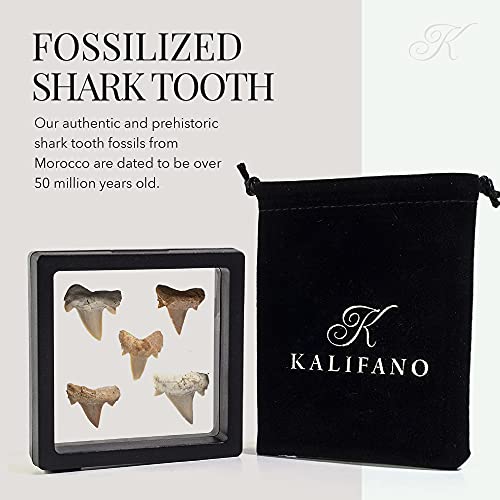 KALIFANO Authentic Fossilized Prehistoric Mini Shark Teeth (5 Pack) from Morocco - Shark Tooth for Fossil Collections and Education Purposes (Information Card Included)