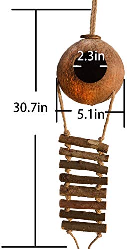 XXYWJF Gecko Coco Den with Ladder，Cave Habitat with Hanging Loop，Mini Condo for Lizards， Raw Coconut Husk Hide with Ladder，Gecko Coco den,5.1 Inches with 2.3Inches Opening Diameter