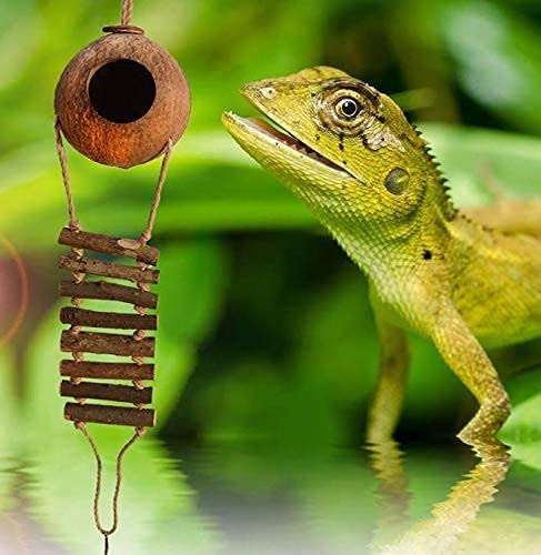 XXYWJF Gecko Coco Den with Ladder，Cave Habitat with Hanging Loop，Mini Condo for Lizards， Raw Coconut Husk Hide with Ladder，Gecko Coco den,5.1 Inches with 2.3Inches Opening Diameter