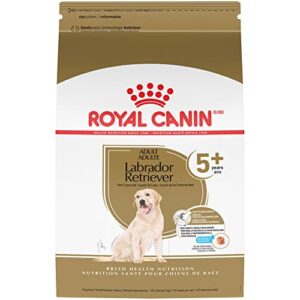 royal canin breed health nutrition labrador retriever adult dry dog food