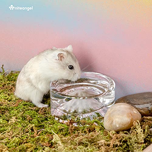 Niteangel Hamster Feeding & Water Bowls- Mount Fuji Series Glass Drinking Bowls for Dwarf Syrian Hamsters Gerbils Mice Rats or Other Similar-Sized Small Pets