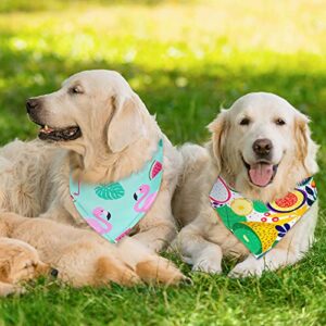 12 Pieces Dog Pet Summer Bandanas Washable Fruit Dog Bandanas Triangle Dog Bibs Scarf Assortment Pet Kerchief Dog Scarf Accessories for Small Medium Size Pets (Summer Patterns, M)