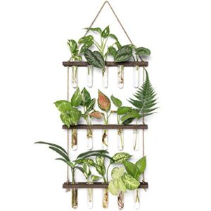 mkono plant propagation tubes, 3 tiered wall hanging plant terrarium with wooden stand mini test tube flower vase glass planter for hydroponic plant cutting home garden office decor plant lover gift