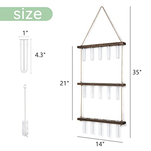 Mkono Plant Propagation Tubes, 3 Tiered Wall Hanging Plant Terrarium with Wooden Stand Mini Test Tube Flower Vase Glass Planter for Hydroponic Plant Cutting Home Garden Office Decor Plant Lover Gift