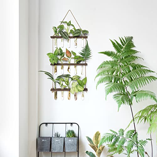 Mkono Plant Propagation Tubes, 3 Tiered Wall Hanging Plant Terrarium with Wooden Stand Mini Test Tube Flower Vase Glass Planter for Hydroponic Plant Cutting Home Garden Office Decor Plant Lover Gift