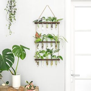 Mkono Plant Propagation Tubes, 3 Tiered Wall Hanging Plant Terrarium with Wooden Stand Mini Test Tube Flower Vase Glass Planter for Hydroponic Plant Cutting Home Garden Office Decor Plant Lover Gift