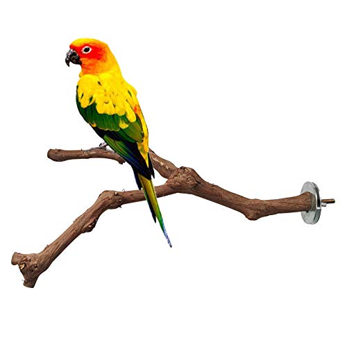 OFLAO Parrot Perches, Wood Bird Stand Perch, Natural Wild Grape Stick Bird Stand Pole, Y Shape Stand Perch, Standing Climbing Branch Toy Cage Accessories for Parrots, Parakeet, Budgies, Lovebirds