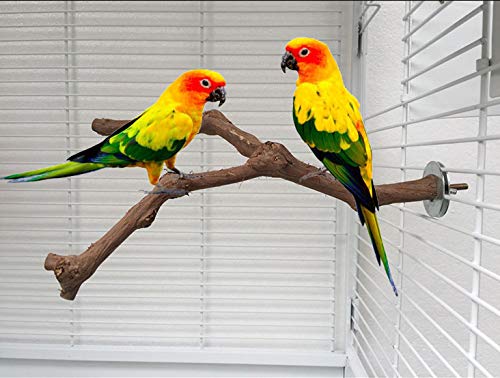 OFLAO Parrot Perches, Wood Bird Stand Perch, Natural Wild Grape Stick Bird Stand Pole, Y Shape Stand Perch, Standing Climbing Branch Toy Cage Accessories for Parrots, Parakeet, Budgies, Lovebirds