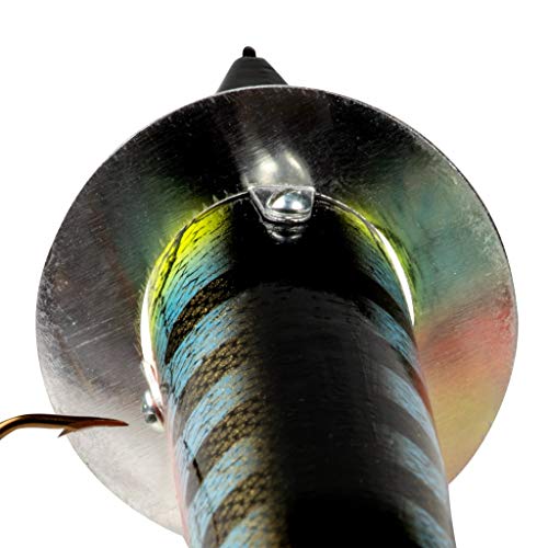 Heddon X0200JMP Slopenose - Natural Perch (4-7/8 Inch, 3/4oz), Multicolor, One Size
