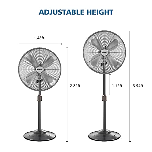 ARLIME16 Inch Oscillating Standing Floor Fan, All Metal Pedestal Fan with Height Adjustable, 4 Blades, and 3 Speed Settings, Powerful and Quiet, Wide Spread Stand Fan for Home, Office, Shop (Black)