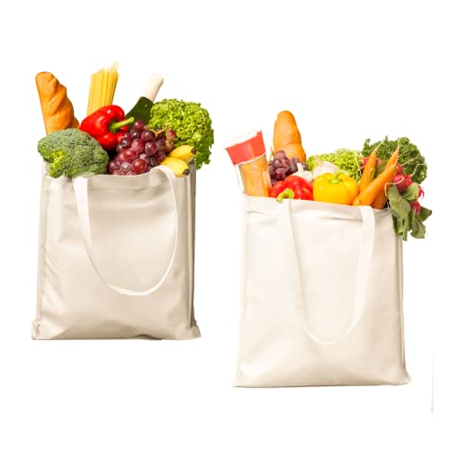 WHITEWRAP Canvas Grocery Shopping Bag with 6 Pockets 14.5” x 13” x 8" Pack of 2