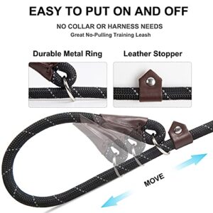 Fida Durable Slip Lead Dog Leash, 6 FT x 1/2" Heavy Duty Dog Loop Leash, Comfortable Strong Rope Slip Leash for Large, Medium Dogs, No Pull Pet Training Leash with Highly Reflective, Black