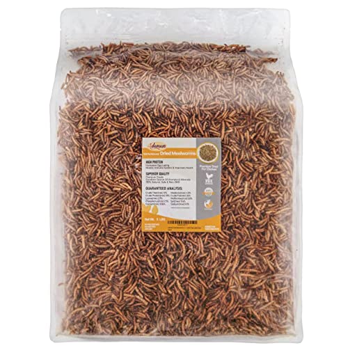 Adaman Dried Mealworms -5 LBS- 100% Natural Non GMO High Protein Mealworms - Bulk Mealworms for Wild Birds, Chicken Treats, Hamster Food, Gecko Food, Turtle Food, Lizard Food