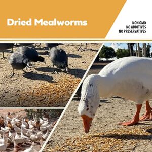 Adaman Dried Mealworms -5 LBS- 100% Natural Non GMO High Protein Mealworms - Bulk Mealworms for Wild Birds, Chicken Treats, Hamster Food, Gecko Food, Turtle Food, Lizard Food