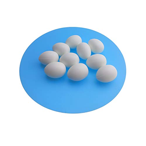 Huwaimi 13g Solid Plastic Eggs Dummy Eggs for Racing Pigeons (White 10pcs)