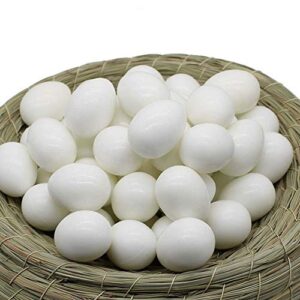 Huwaimi 13g Solid Plastic Eggs Dummy Eggs for Racing Pigeons (White 10pcs)