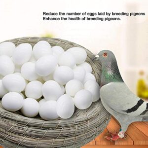 Huwaimi 13g Solid Plastic Eggs Dummy Eggs for Racing Pigeons (White 10pcs)