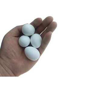 Huwaimi 13g Solid Plastic Eggs Dummy Eggs for Racing Pigeons (White 10pcs)