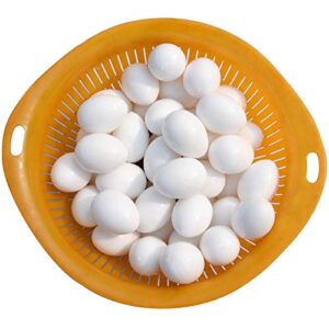 Huwaimi 13g Solid Plastic Eggs Dummy Eggs for Racing Pigeons (White 10pcs)