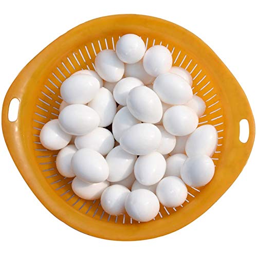 Huwaimi 13g Solid Plastic Eggs Dummy Eggs for Racing Pigeons (White 10pcs)