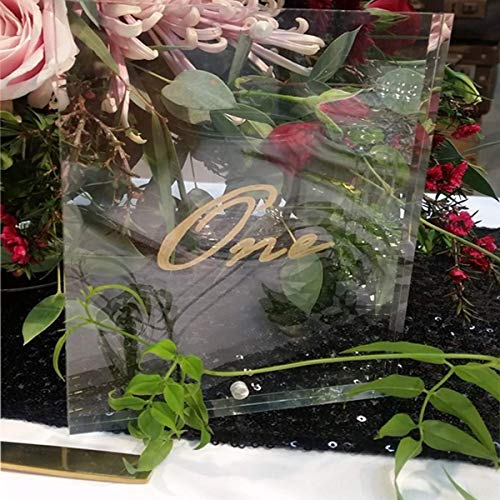 Bedexut 5 Pack 8x10" Plexiglass Sheet 1mm Thick, Clear PETG Panels for Craft Projects,Replacement Picture Frame Glass and Resin Art - Cricut Cutting Special Signs for Wedding,Festival,Party,Office.