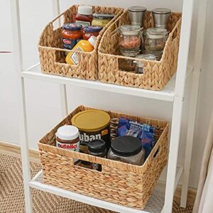StorageWorks Hand Woven Baskets Set