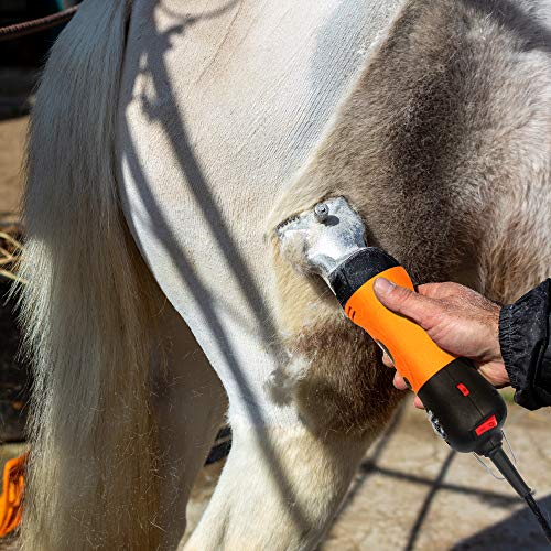 BEETRO Horse Clipper Electric Animal Grooming Kit for Horse Equine Goat Pony Cattle,500W Professional Horse Shears, with an Extra Set of Shearing Blades