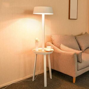 TANGIST Nordic Floor Lamp Iron Floor Lamp Indoor Lighting with Shelf Standing Lamp Antique Suitable for Living Room Bedroom - Foot Switch Modern Style Home Decoration