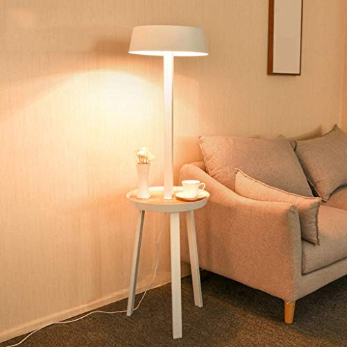 TANGIST Nordic Floor Lamp Iron Floor Lamp Indoor Lighting with Shelf Standing Lamp Antique Suitable for Living Room Bedroom - Foot Switch Modern Style Home Decoration