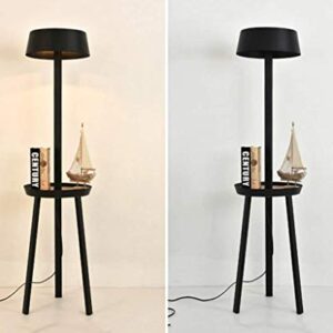 TANGIST Nordic Floor Lamp Iron Floor Lamp Indoor Lighting with Shelf Standing Lamp Antique Suitable for Living Room Bedroom - Foot Switch Modern Style Home Decoration