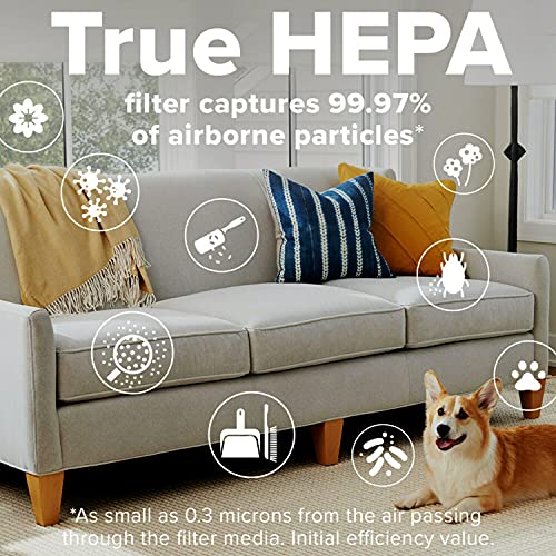 Filtrete Smart Air Purifier & Air Quality Monitor Medium Rooms, up to 150 sqft, Alexa enabled, Wi-Fi Simple Setup, True HEPA Filter for Allergens, Dust, Bacteria, & Viruses, Alexa smart reorders