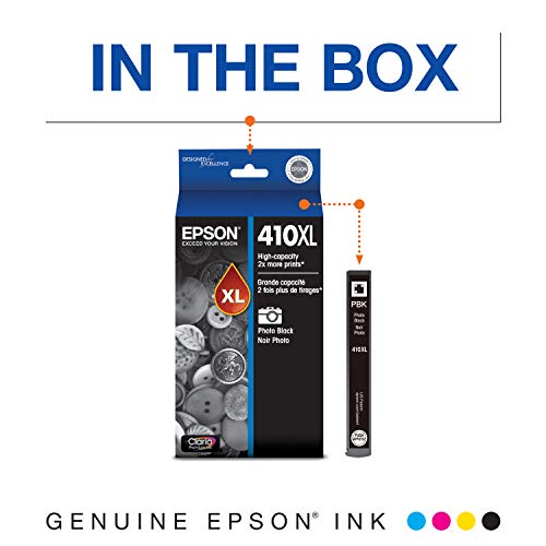 Epson T410020-S Ink Cartridge, Black & 410XL Photo Black Ink Cartridge, High Capacity (T410XL120)
