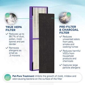 Germ Guardian True HEPA Filter Air Purifier, UV Light Sanitizer, Eliminates Germs, Air Purifier for Home AC4300BPTCA with FLT4850PT True HEPA Genuine Air Purifier Replacement Filter